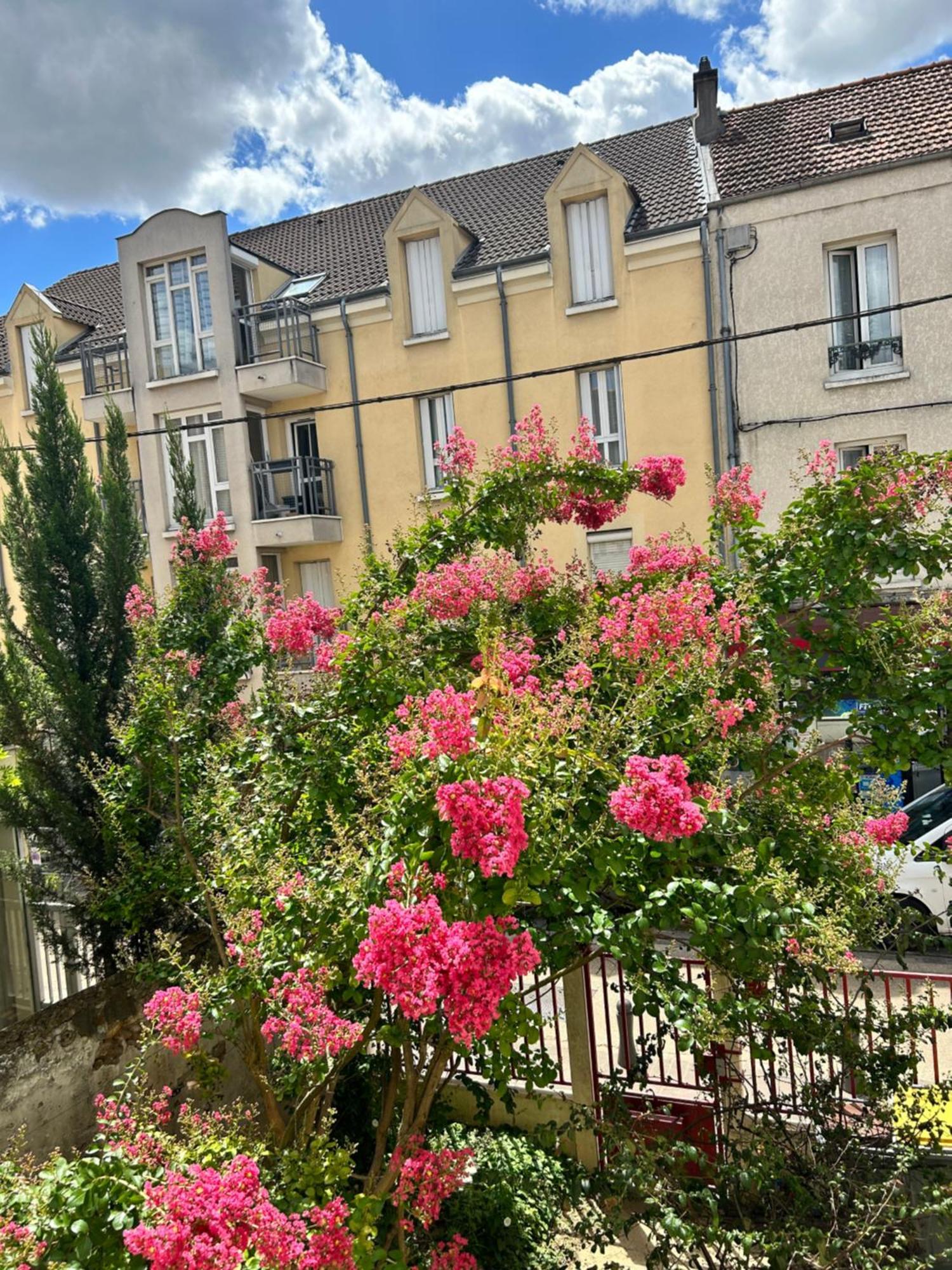 F3 Au Grenier D'Une Maison 马西 外观 照片